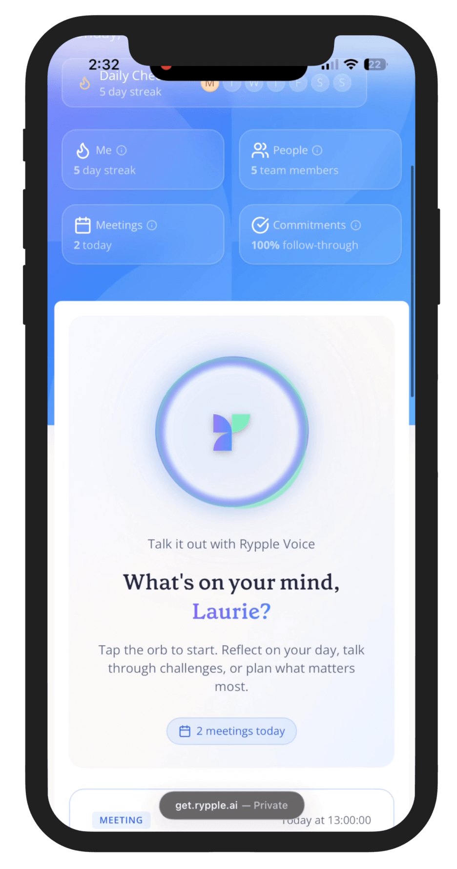 Rypple AI Assistant voice-to-voice conversation on mobile